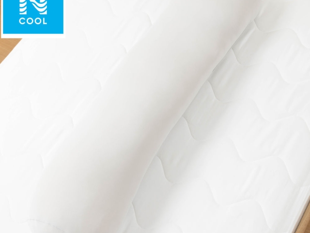 接觸涼感 多功能長型抱枕 N COOL MOCHI P2402 GY